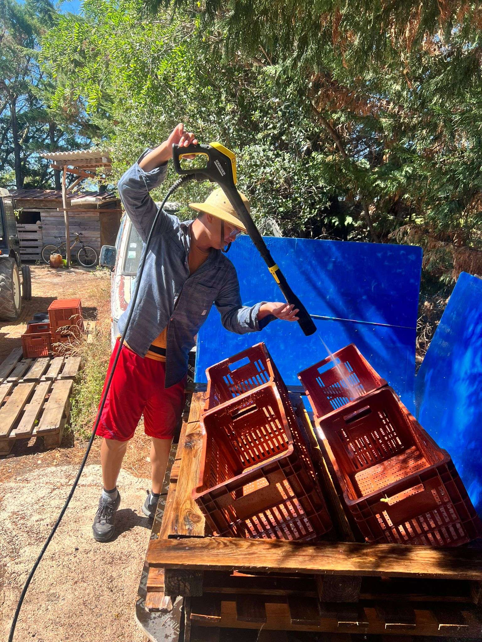 Crate Cleaning